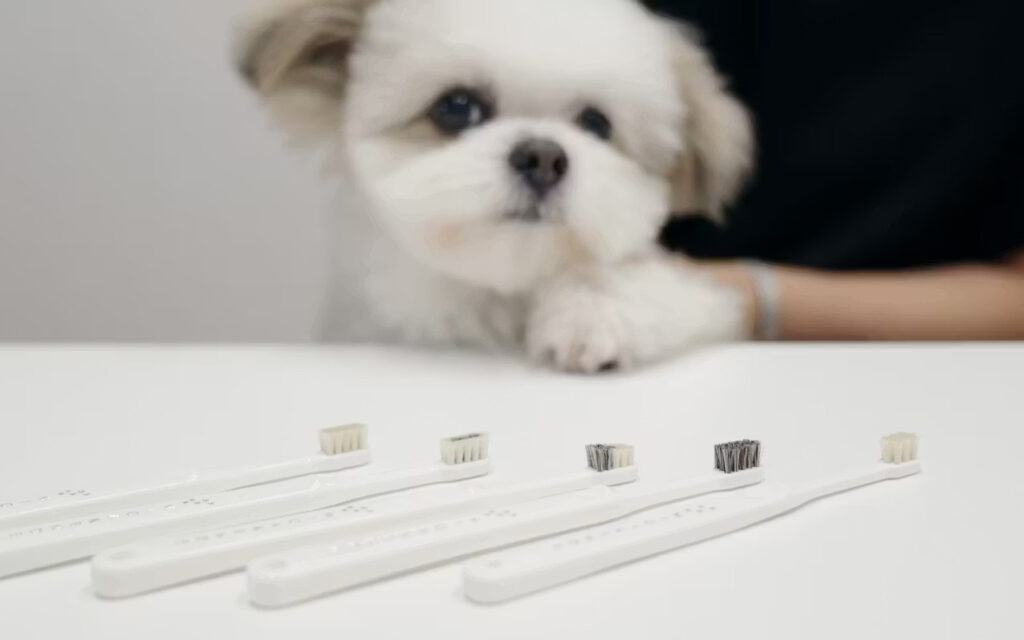 愛犬と犬用歯ブラシMIGAKENDEの商品イメージ